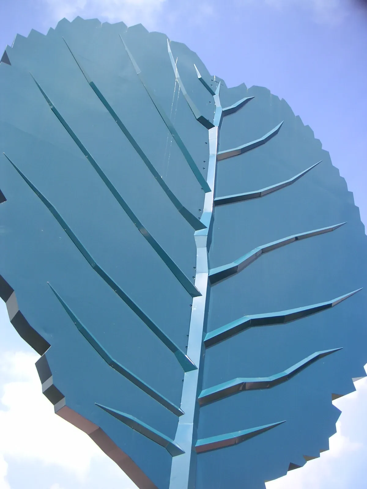 La grande feuille vue de dessous : nervure centrale, nervures en relief et bord dentelé en tôle pliée.