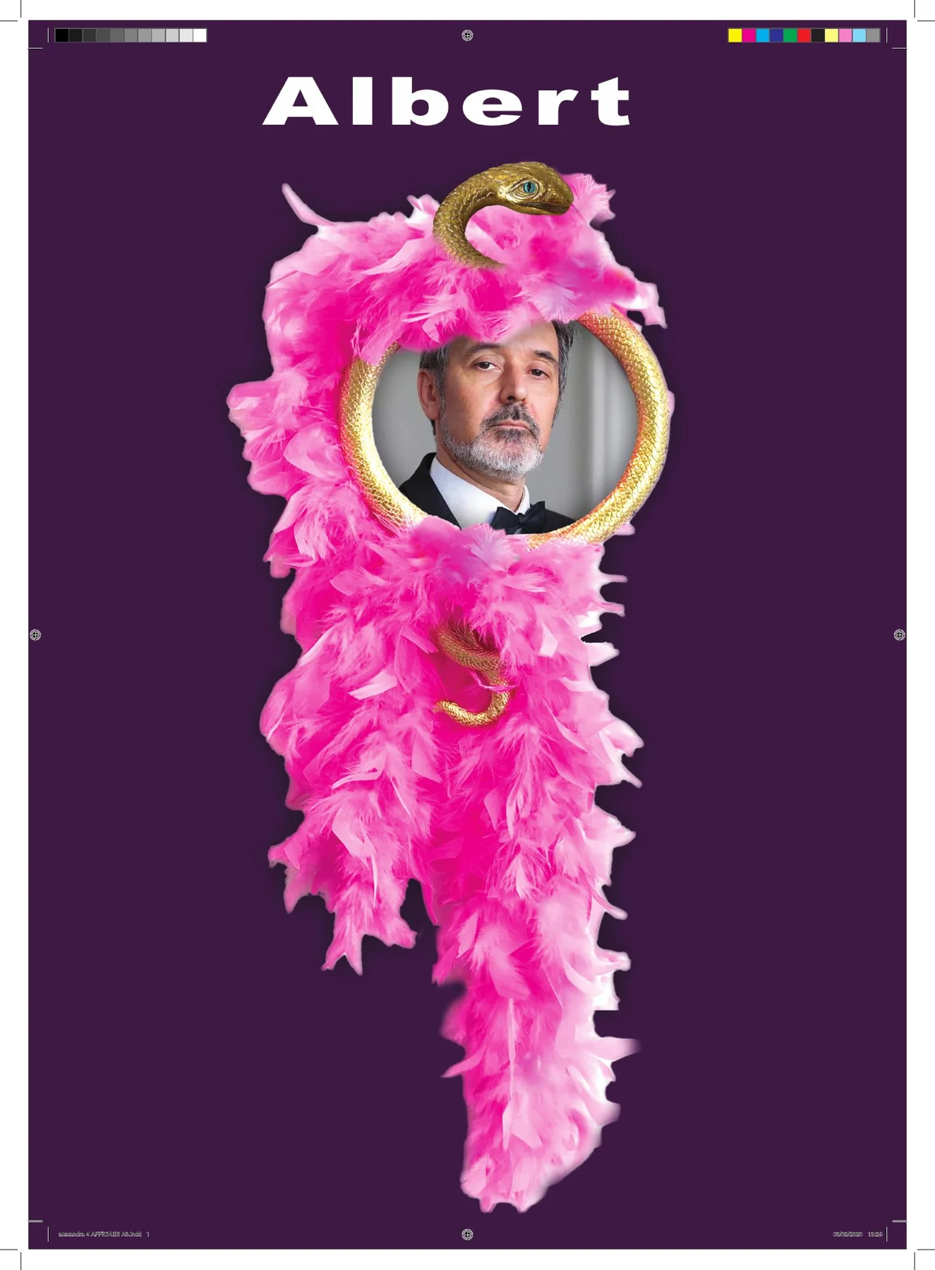 L'affiche d'Albert.