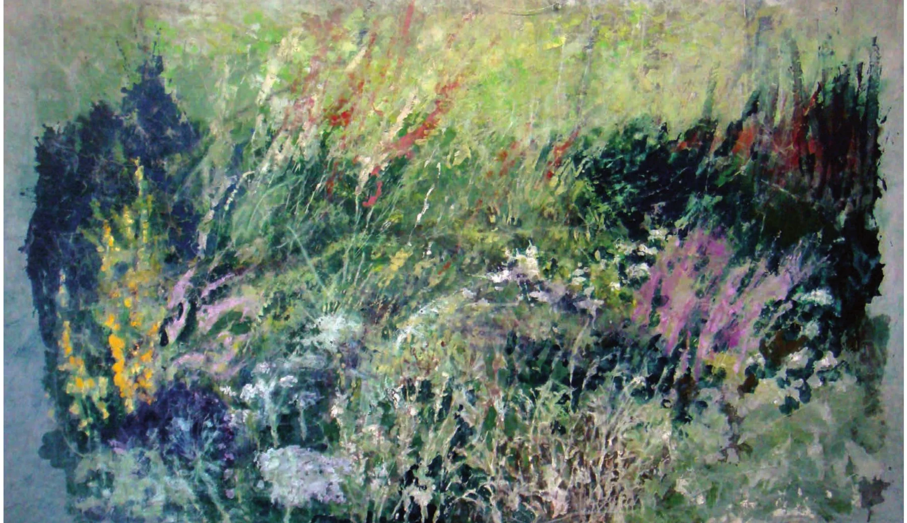 Herbier, double page de la monographie.