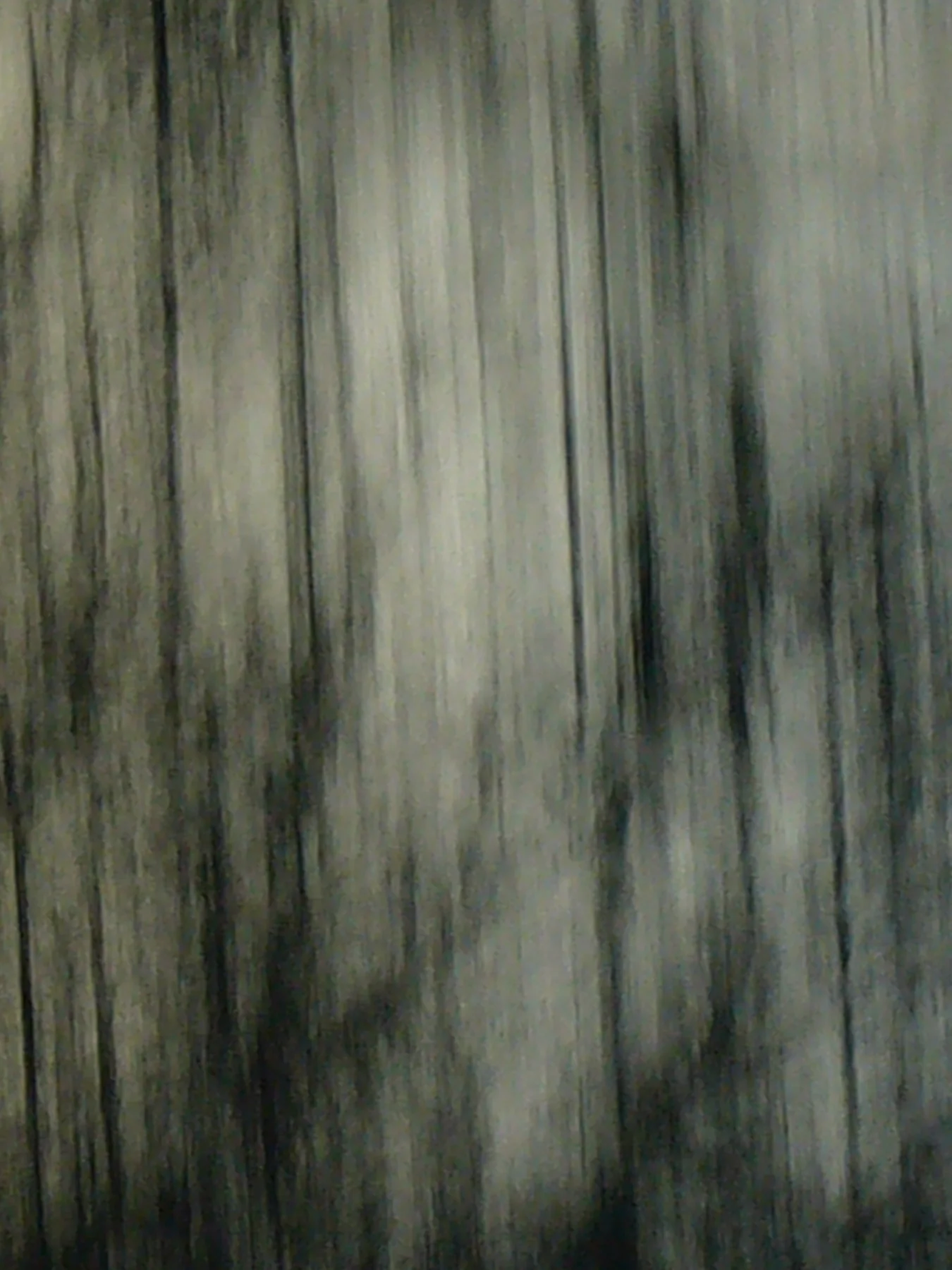 Sous-bois, 2009, photographie de Franck Dumas, © cqfd photographie.
